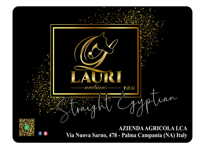 partner_lauri-arabians